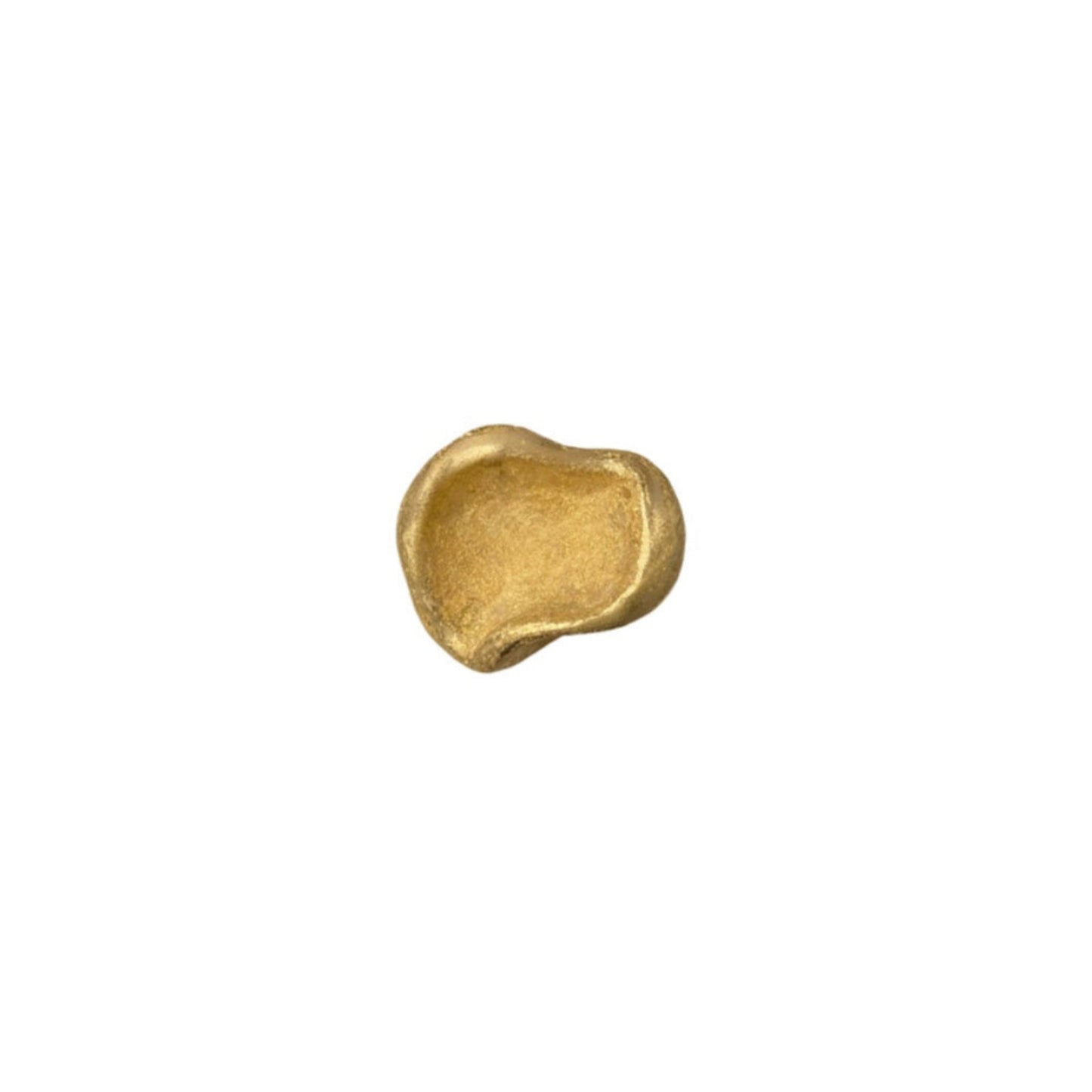 Anello di Dionisio visto frontalmente, con dettagli decorativi nitidi