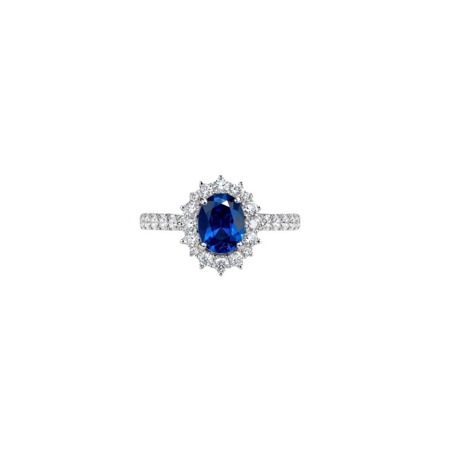 18k white gold ring with oval blue sapphire, diamond halo and pavé band, Carlotta di Montefalco high jewelry
