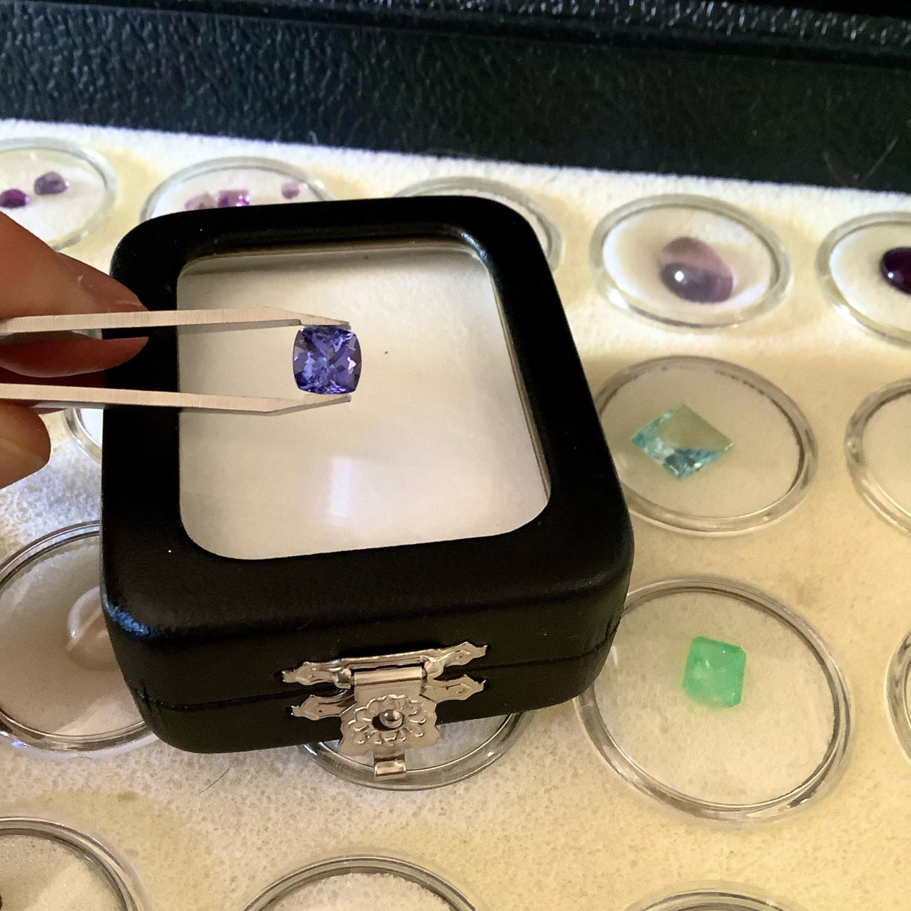 Tanzanite naturale pietra preziosa per gioielli di lusso Carlotta di Montefalco 
